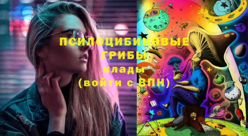 Галлюциногенные грибы Magic Shrooms  Амурск 